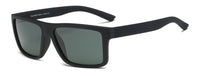 UV-1002P