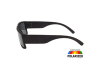 UV-POL23
